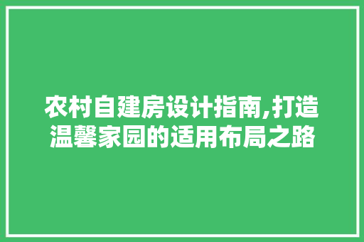 农村自建房设计指南,打造温馨家园的适用布局之路