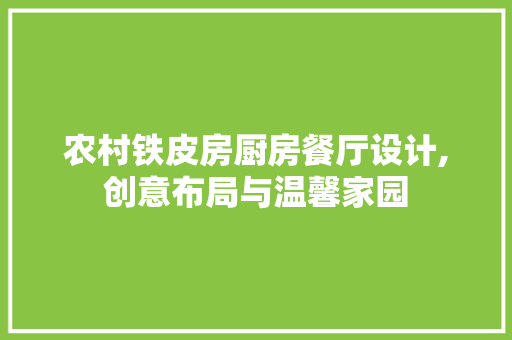 农村铁皮房厨房餐厅设计,创意布局与温馨家园