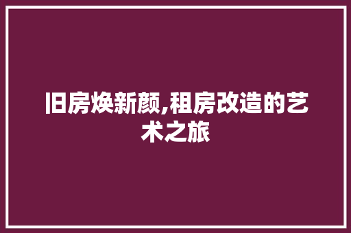 旧房焕新颜,租房改造的艺术之旅