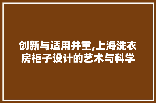 创新与适用并重,上海洗衣房柜子设计的艺术与科学