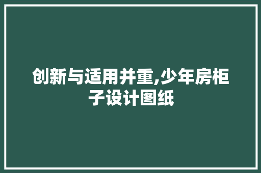 创新与适用并重,少年房柜子设计图纸