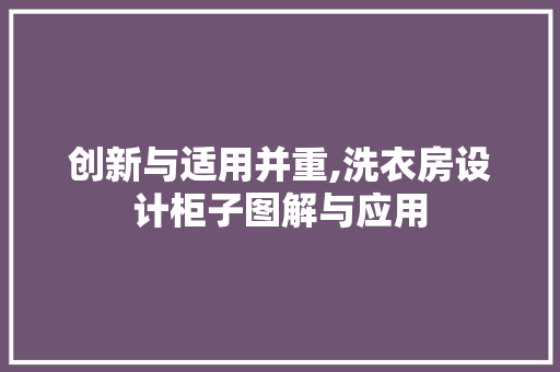 创新与适用并重,洗衣房设计柜子图解与应用