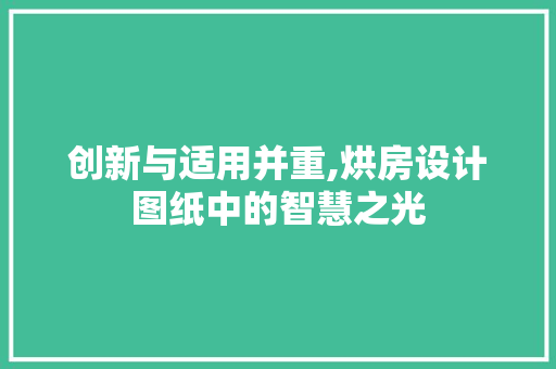 创新与适用并重,烘房设计图纸中的智慧之光
