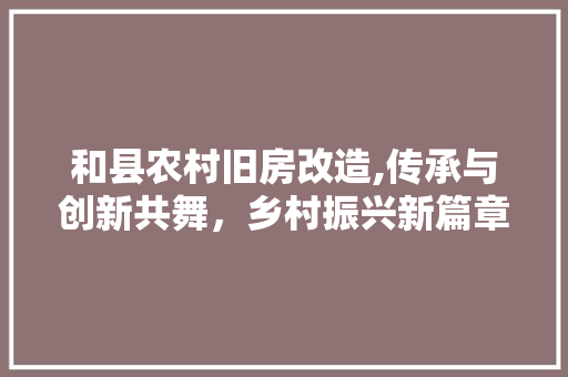 和县农村旧房改造,传承与创新共舞，乡村振兴新篇章