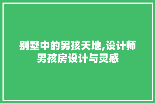 别墅中的男孩天地,设计师男孩房设计与灵感