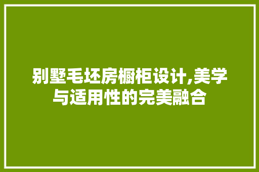 别墅毛坯房橱柜设计,美学与适用性的完美融合