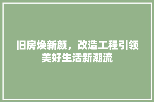 旧房焕新颜，改造工程引领美好生活新潮流