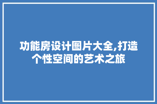 功能房设计图片大全,打造个性空间的艺术之旅