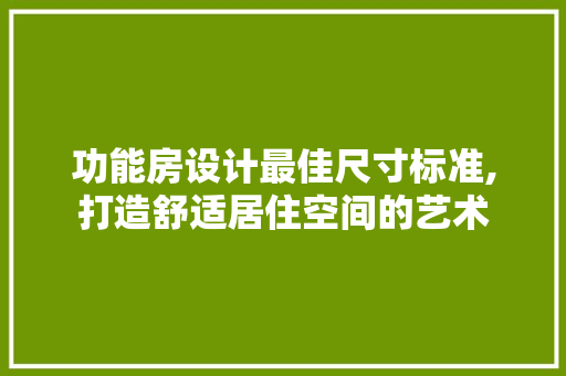 功能房设计最佳尺寸标准,打造舒适居住空间的艺术