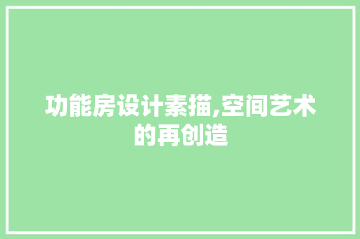 功能房设计素描,空间艺术的再创造