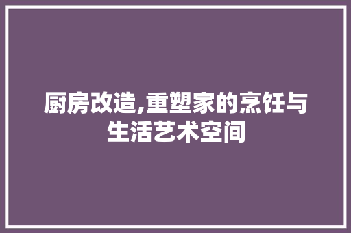 厨房改造,重塑家的烹饪与生活艺术空间