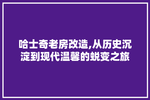 哈士奇老房改造,从历史沉淀到现代温馨的蜕变之旅
