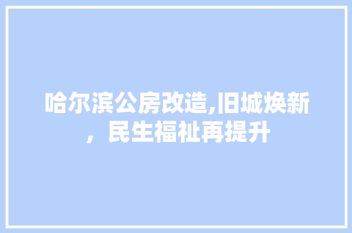 哈尔滨公房改造,旧城焕新，民生福祉再提升