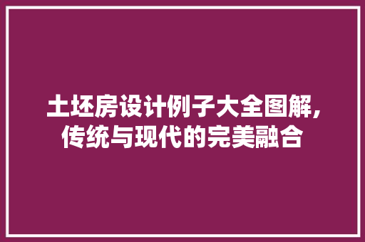 土坯房设计例子大全图解,传统与现代的完美融合