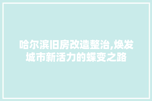 哈尔滨旧房改造整治,焕发城市新活力的蝶变之路