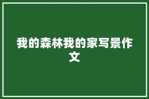 星星专业旧房改造,焕新家居，重拾温馨时光