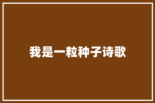 昭通旧房改造加固,传承与创新，守护历史文脉