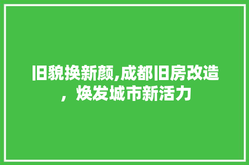 旧貌换新颜,成都旧房改造，焕发城市新活力
