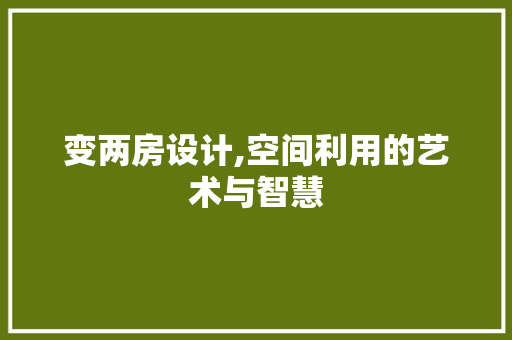 变两房设计,空间利用的艺术与智慧