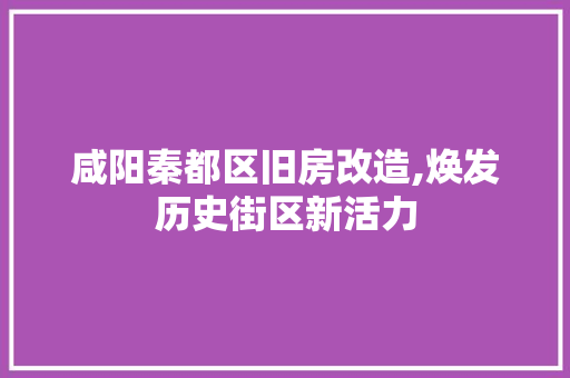 咸阳秦都区旧房改造,焕发历史街区新活力