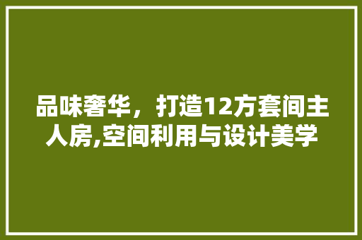品味奢华，打造12方套间主人房,空间利用与设计美学