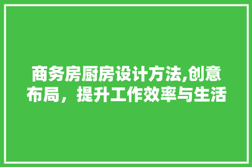 商务房厨房设计方法,创意布局，提升工作效率与生活品质
