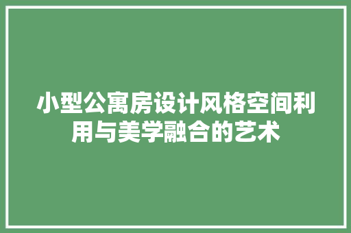 小型公寓房设计风格空间利用与美学融合的艺术