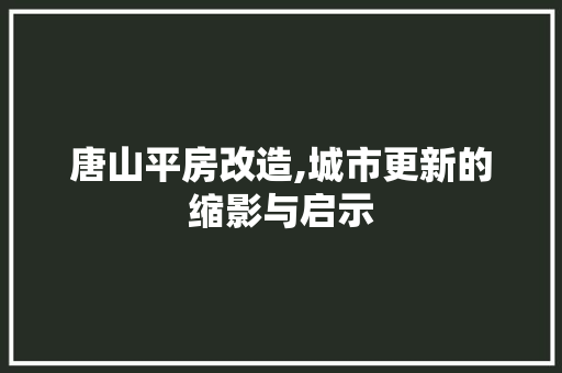 唐山平房改造,城市更新的缩影与启示