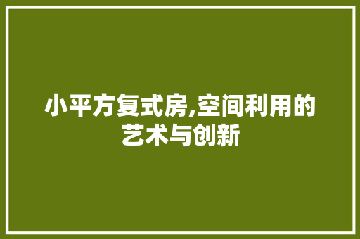 小平方复式房,空间利用的艺术与创新