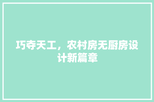 巧夺天工，农村房无厨房设计新篇章