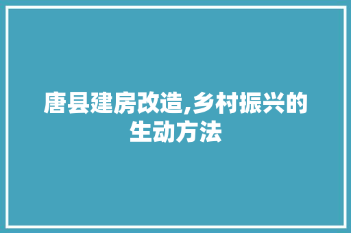 唐县建房改造,乡村振兴的生动方法