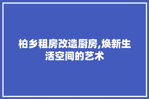 柏乡租房改造厨房,焕新生活空间的艺术