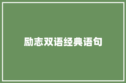 打造个性空间,舞蹈房窗帘设计教程