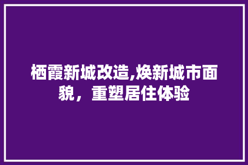 栖霞新城改造,焕新城市面貌，重塑居住体验