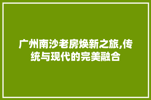 广州南沙老房焕新之旅,传统与现代的完美融合