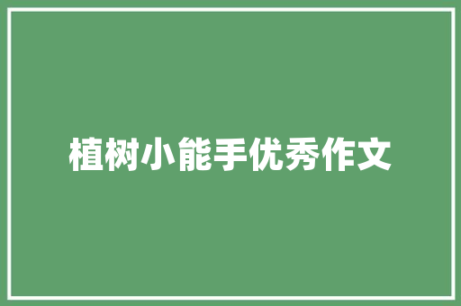 松桃棚户房改造,提升民生福祉，绘就美好家园新篇章