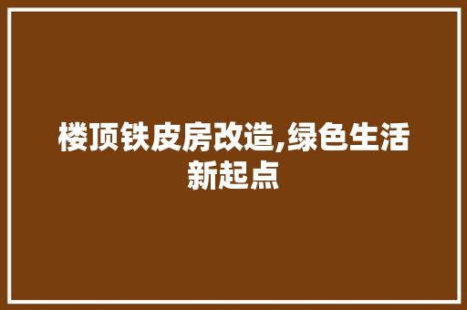 楼顶铁皮房改造,绿色生活新起点
