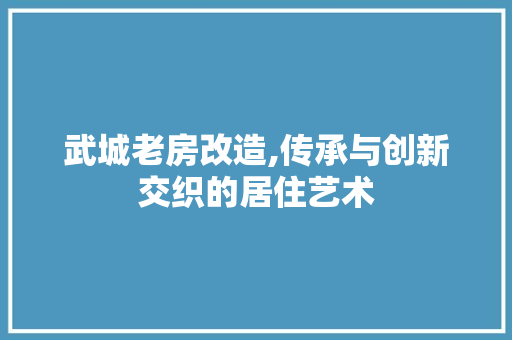 武城老房改造,传承与创新交织的居住艺术