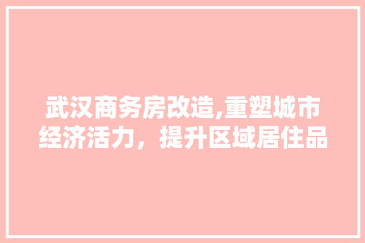 武汉商务房改造,重塑城市经济活力，提升区域居住品质
