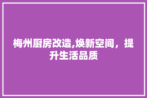 梅州厨房改造,焕新空间，提升生活品质