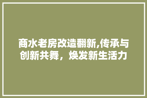 商水老房改造翻新,传承与创新共舞，焕发新生活力