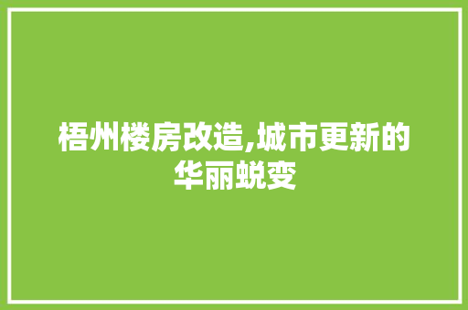 梧州楼房改造,城市更新的华丽蜕变