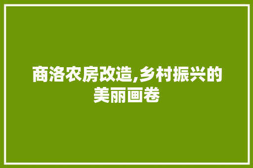 商洛农房改造,乡村振兴的美丽画卷