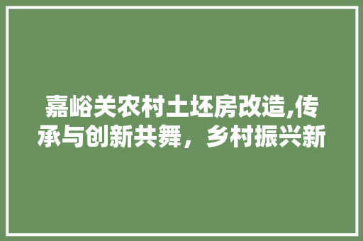嘉峪关农村土坯房改造,传承与创新共舞，乡村振兴新篇章