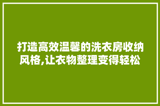 打造高效温馨的洗衣房收纳风格,让衣物整理变得轻松愉快