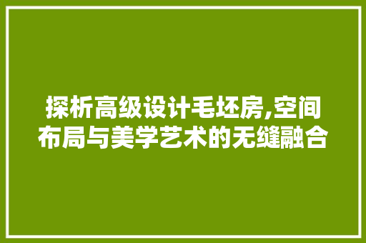 探析高级设计毛坯房,空间布局与美学艺术的无缝融合