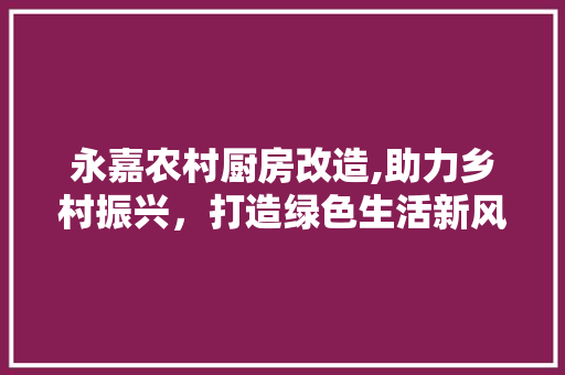 永嘉农村厨房改造,助力乡村振兴，打造绿色生活新风尚