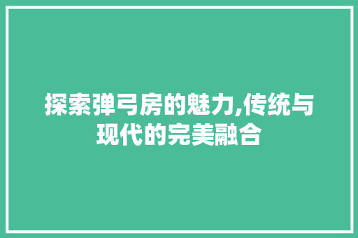 探索弹弓房的魅力,传统与现代的完美融合