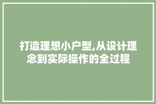 打造理想小户型,从设计理念到实际操作的全过程