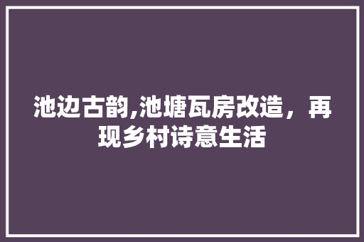 池边古韵,池塘瓦房改造，再现乡村诗意生活